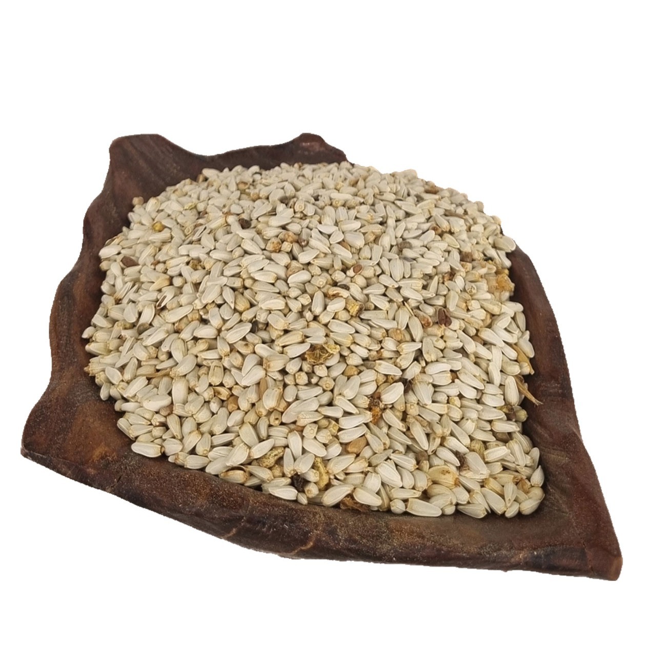 بذر گلرنگ (کوشه) اعلاء قزاقستان