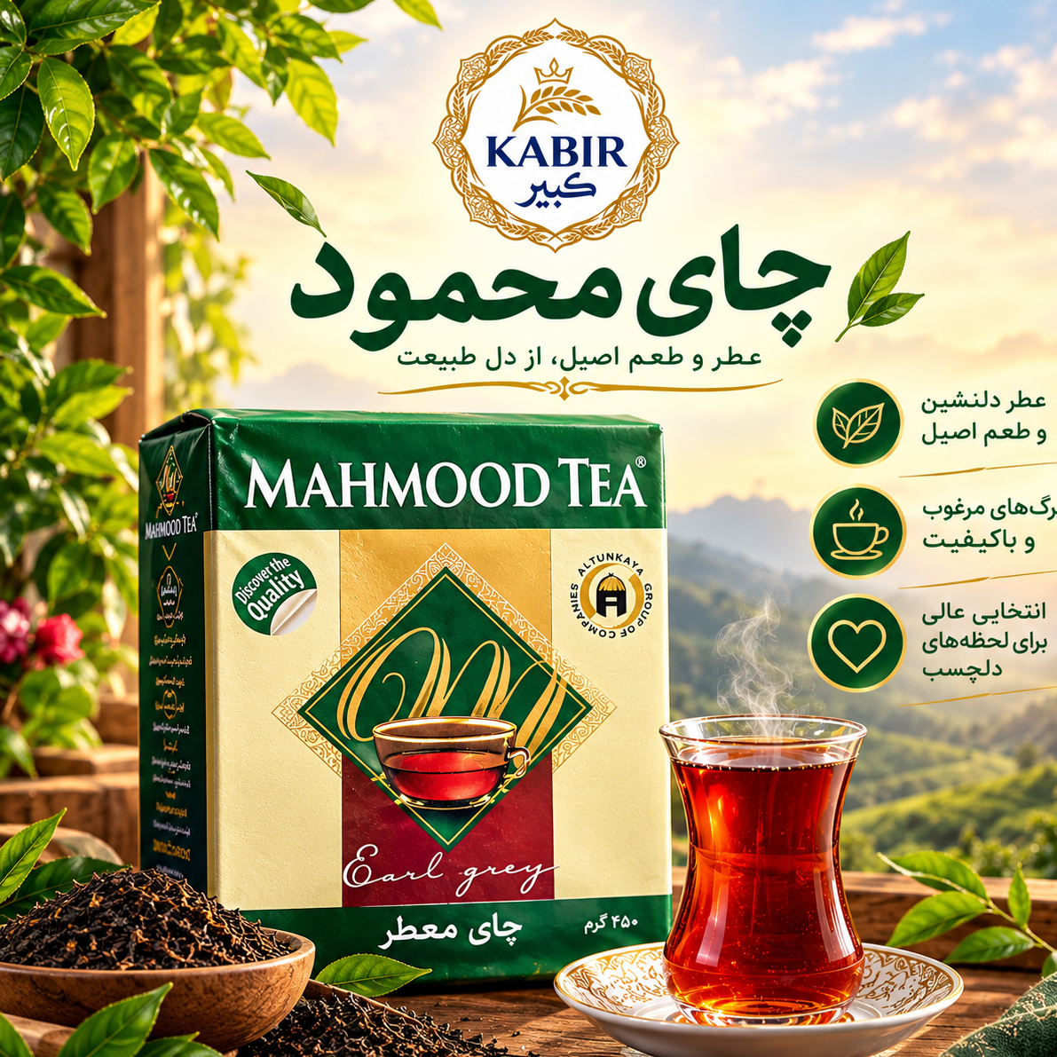 چای محمود