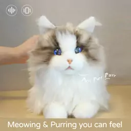 گربه رباتیک meta cat