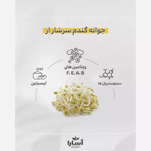 کرم آبرسان گیاهی آسارا (با عصاره جوانه گندم و جذب بالا)