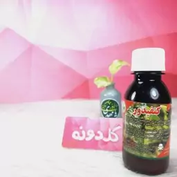 سم کنفیدور سیستمیک گوارشی وتنفسی- برای حشرات مختلف و آفات گیاهان آپارتمانی و باغچه ای - آفت کش کنفیدر - سم مایع- گلدونه