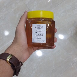 عسل گزانگبین دیابتی 500 گرمی