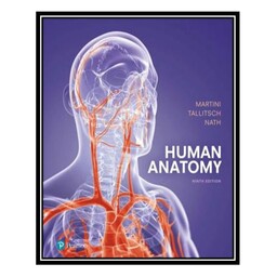 کتاب Human Anatomy اثر جمعی از نویسندگان انتشارات مؤلفین طلایی