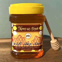 عسل چهل گیاه طبیعی ظرف یک کیلویی