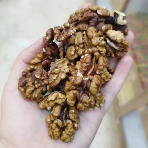 مغز گردو خورشتی فسنجونی چرب (یک کیلو)