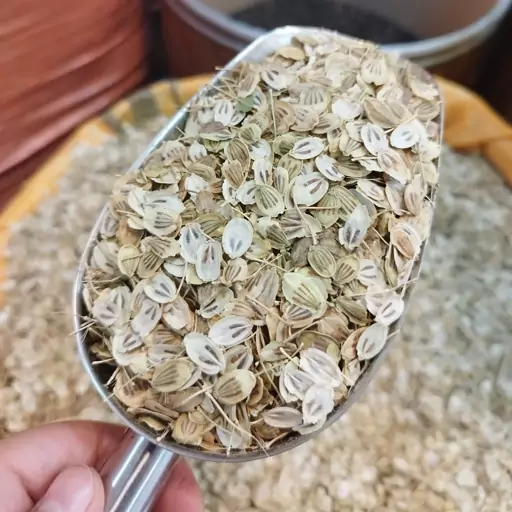 گلپر سالم خوشعطر و تازه(100گرمی) گل پر