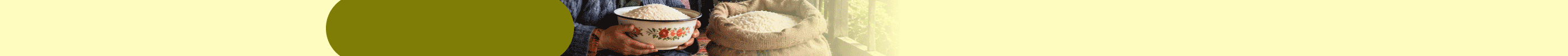 top banner