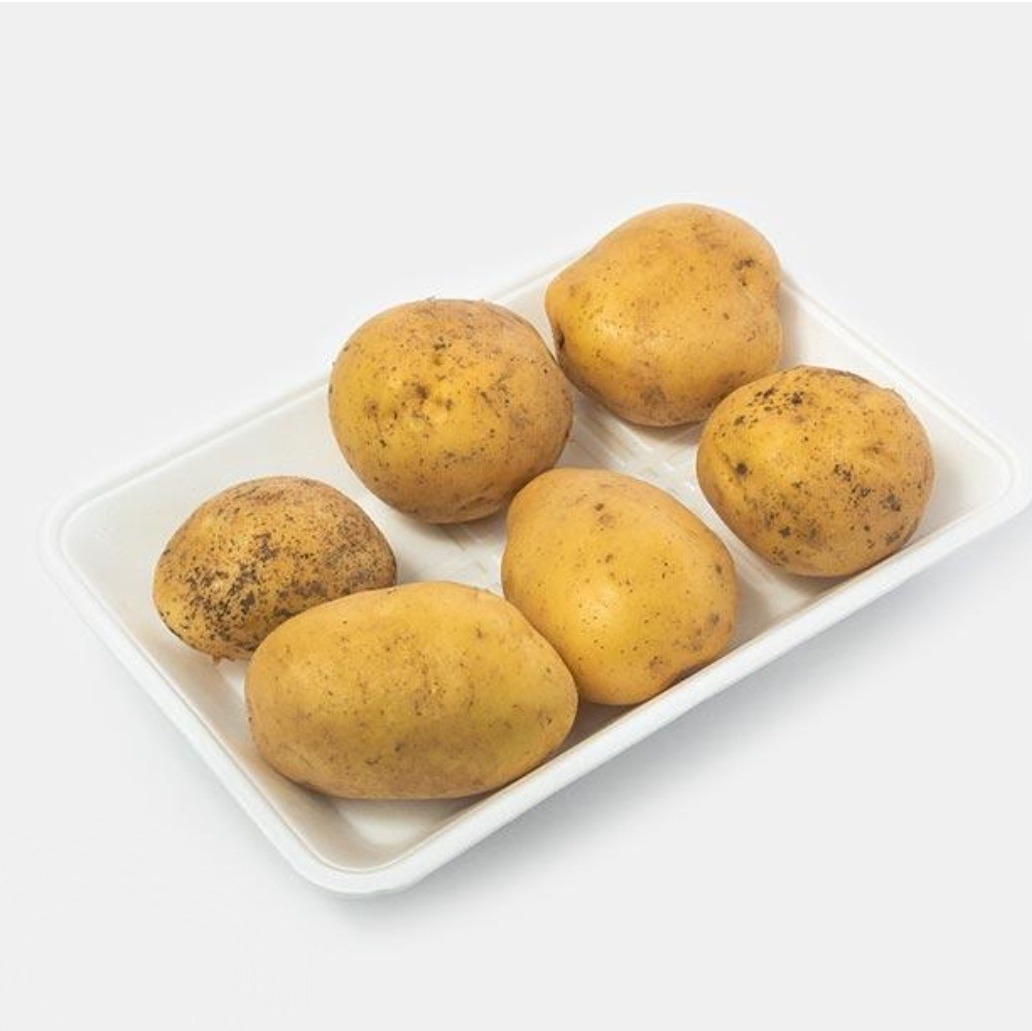 سیب زمینی