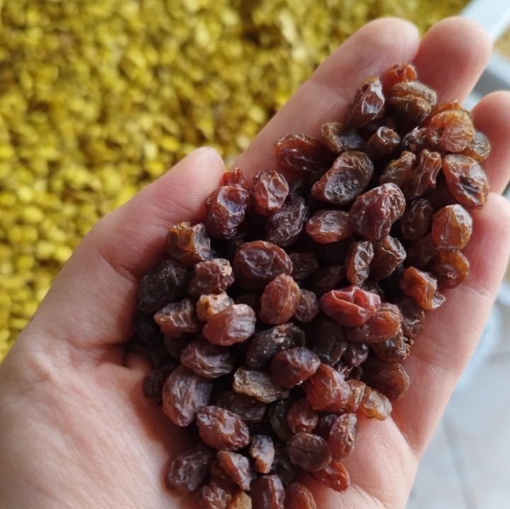 کشمش آفتابی امساله کاملا تازه و سالم
