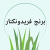 برنج سرسبز فریدونکنار