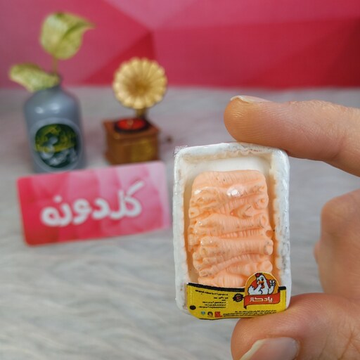 مگنت فانتزی برجسته طرح پای مرغ کد027-مگنت خمیری-مگنت غذا-مگنت مینیاتوری-مگنت یخچال-مگنت خوراکی-مگنت پلی استر-گلدونه