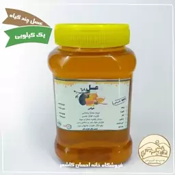 عسل چند گیاه تغذیه شده(یک کیلویی) خانه احسان کاشمر 