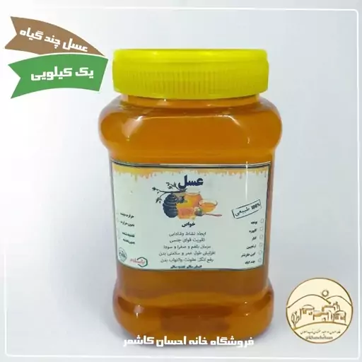 عسل چند گیاه تغذیه شده(یک کیلویی) خانه احسان کاشمر 