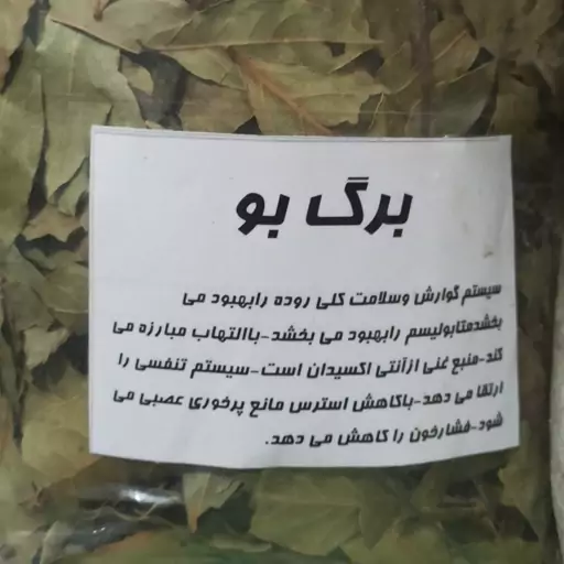 برگ بو