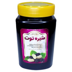 شیره توت ممتاز فدک (850گرم)