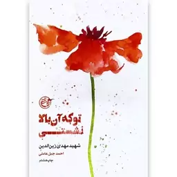 کتاب تو که آن بالا نشستی از مجموعه از چشم ها 5 (کتاب شهید مهدی زین الدین) نوشته احمد جبل عاملی از انتشارات روایت فتح