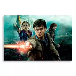 تابلو شاسی طرح فیلم هری پاتر Harry Potter مدل NV0405