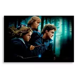 تابلو شاسی طرح فیلم هری پاتر Harry Potter مدل NV0403