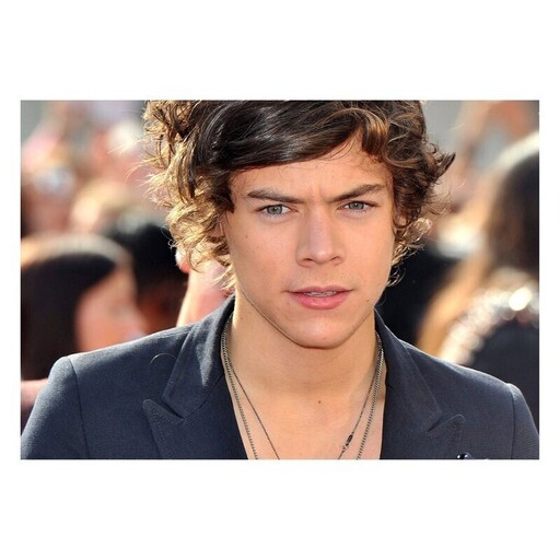 پوستر مدل Harry Styles کد 2507