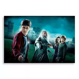 تابلو شاسی طرح فیلم هری پاتر Harry Potter مدل NV0401