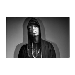 تابلو شاسی طرح eminem مدل As842