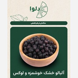 آلبالو خشک خوشمزه و لوکس (300gr)