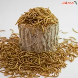 کرم میلورم -میل ورم -MealWorm مکمل تقویتی پرندگان - قوطی50 گرمی