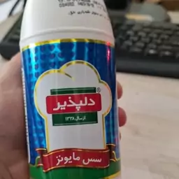 سس مایونز 400 گ دلپذیر