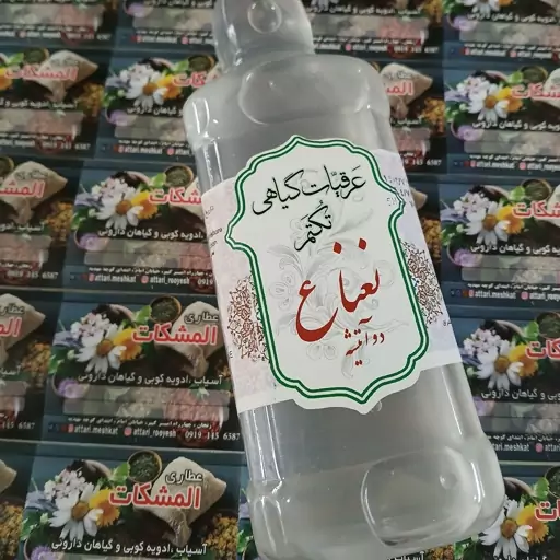 عرق نعنا 2 آتیشه 