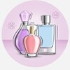 عطر و رایحه پایتخت