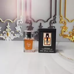 عطر مردانه دیور هوم اینتنس 25 میل برند اسمارت