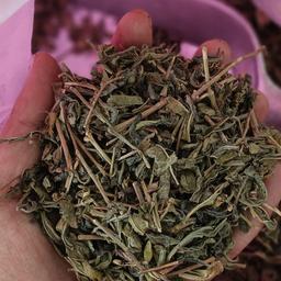 چای سبز قلم لاهیجان (900گرمی)