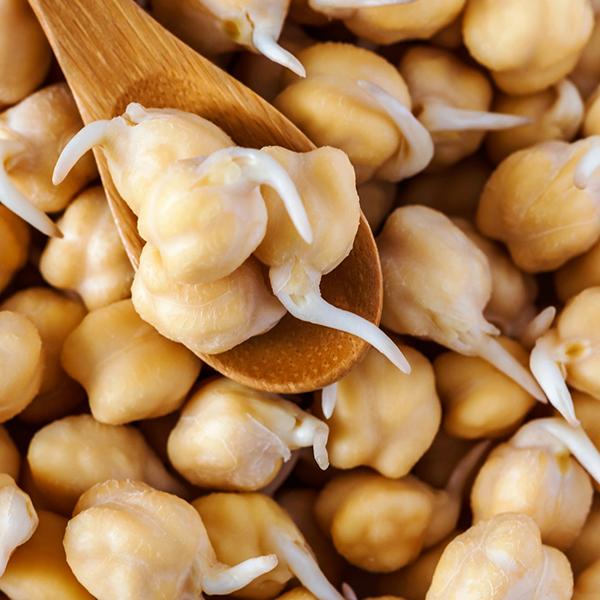 پودر جوانه نخود