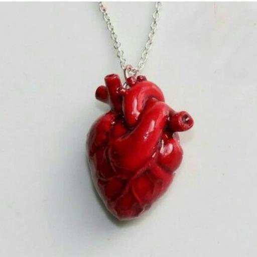 گردنبند قلب آناتومیک با زنجیر استیل