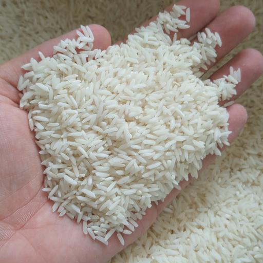 برنج طارم هاشمی درجه یک مازندران 20 کیلویی مستقیم از کشاورز