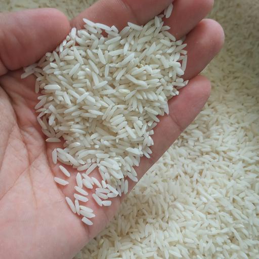 برنج طارم هاشمی درجه یک مازندران 20 کیلویی مستقیم از کشاورز