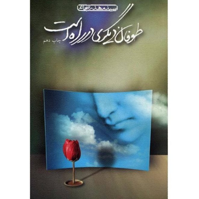 طوفان دیگری در راه است ، سید مهدی شجاعی