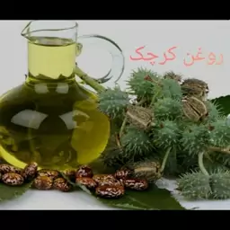 روغن کرچک