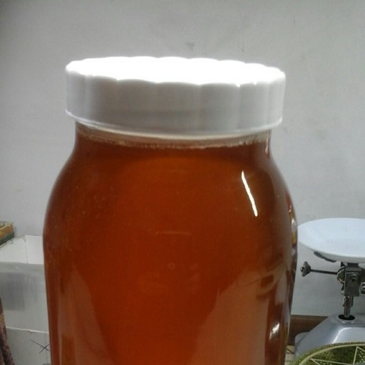 عسل گون دماوند 900 گرمی