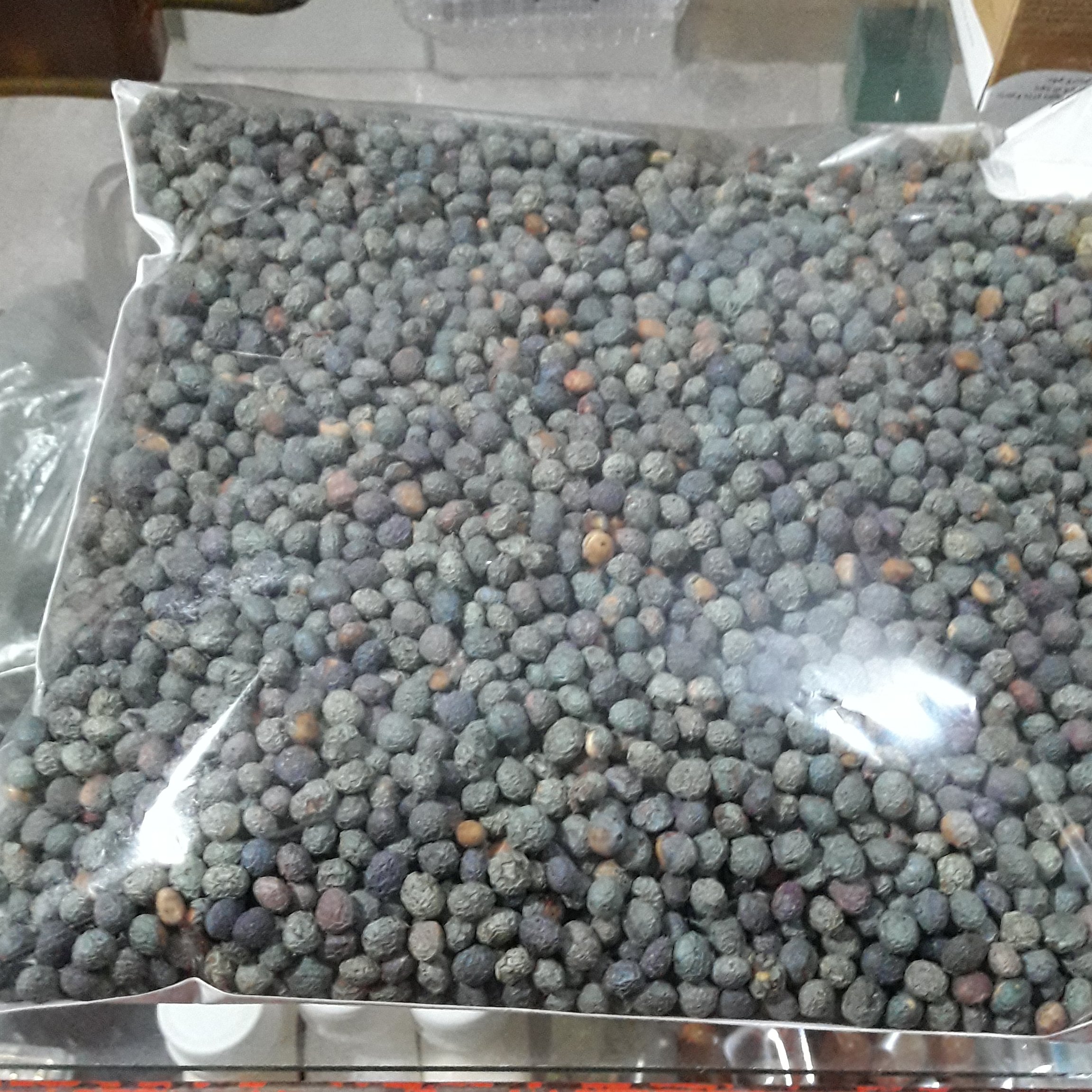 بنه پسته کوهی(800گرمی)