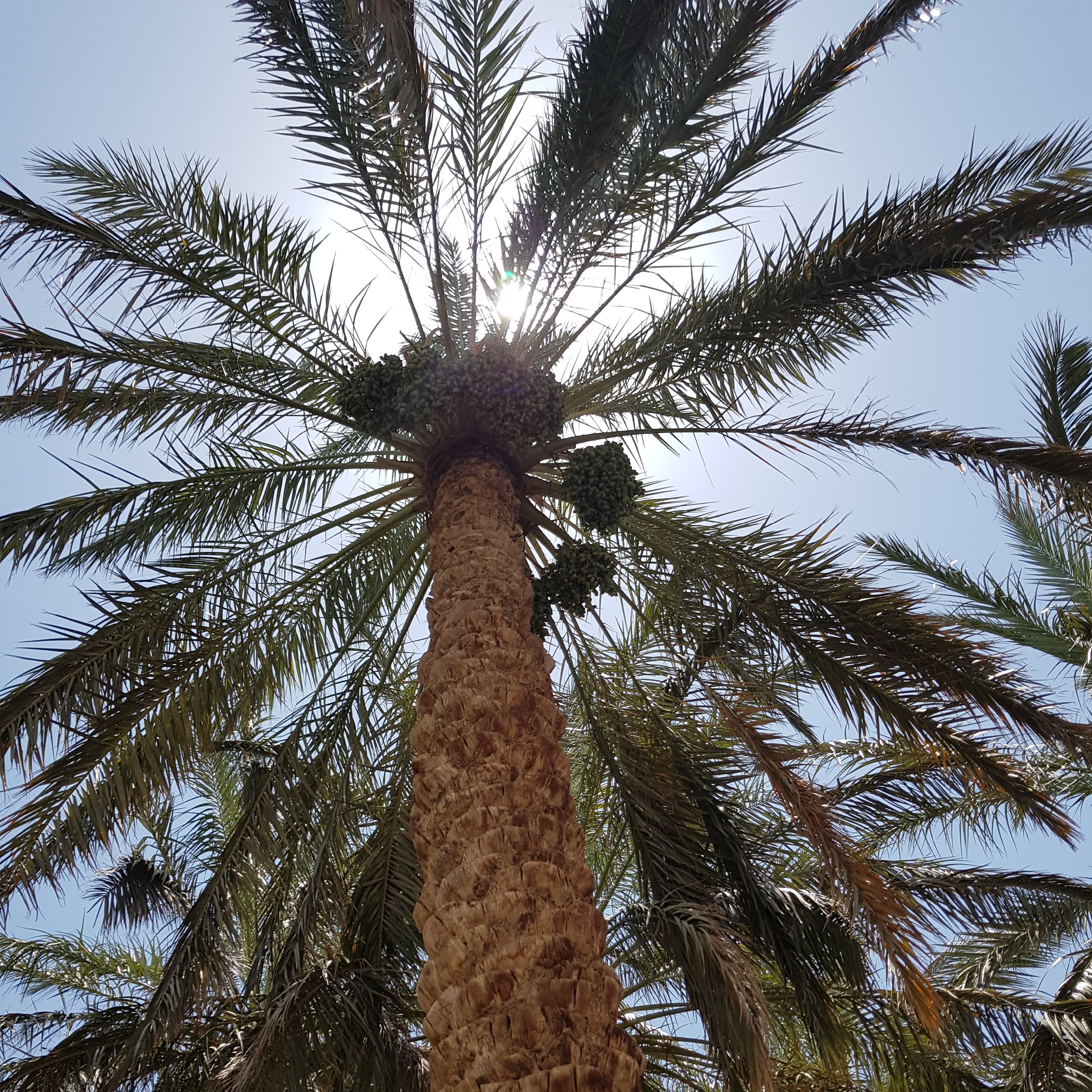 توضیحات تصویر