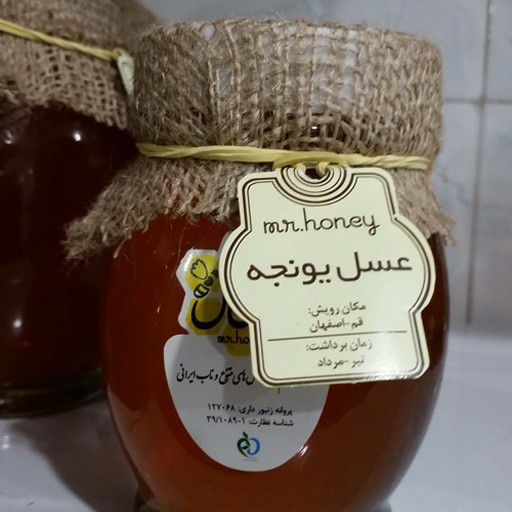 عسل طبیعی یونجه (تقویت حافظه، نشاط آور، آرامش بخش، خونساز )