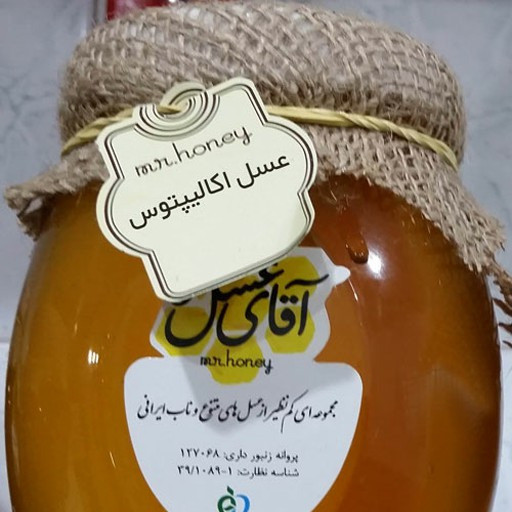 عسل طبیعی اکالیپتوس (ضدعفونی کننده ریه،تسکین سرفه، ضد حساسیت ، مفید برای ناراحتی های مجاری تنفسی و برونشیت)