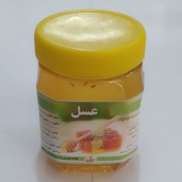 عسل درجه 1 چند گیاه  نیم کیلویی (طب اسلامی)