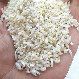 برنج سرلاشه عطری کشت جدید طارم هاشمی (ارسال رایگان)  10 کیلویی