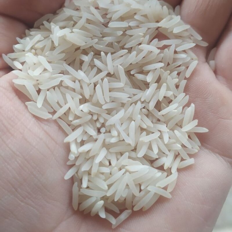 برنج فجر  درشت قلم گرگان 10 کیلویی (ارسال رایگان) 