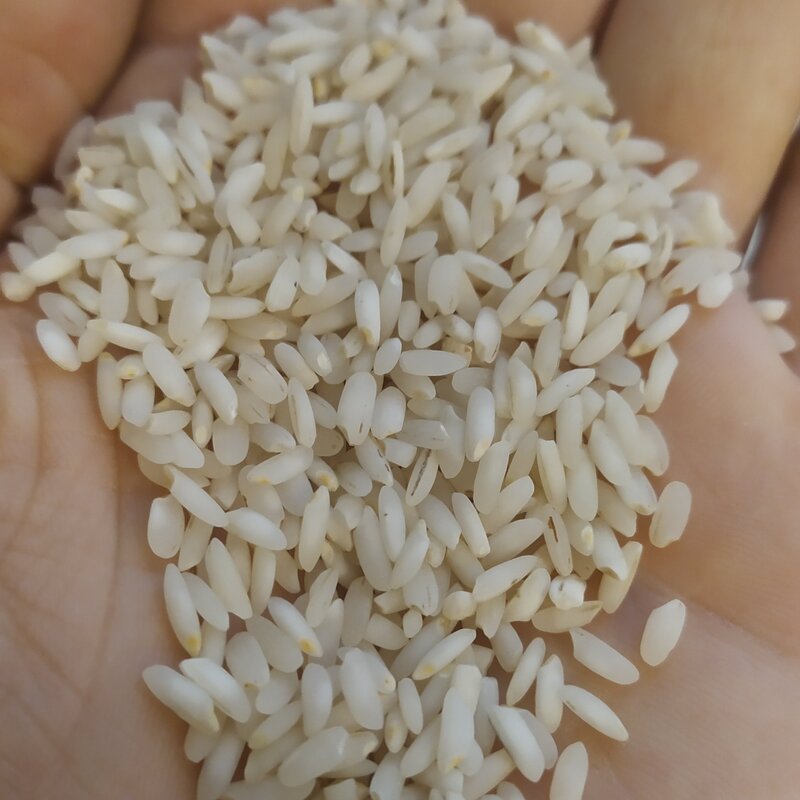 برنج عنبربو عطری خوزستان 10 کیلویی (ارسال رایگان) 