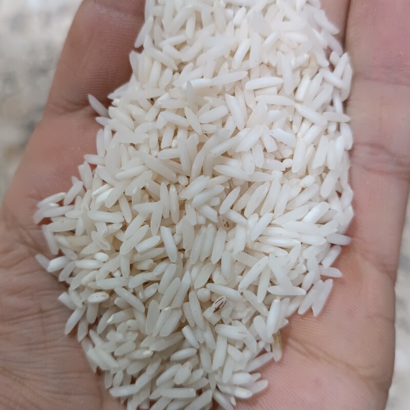 برنج شیرودی اعلا  ممتاز  بسته ده کیلویی