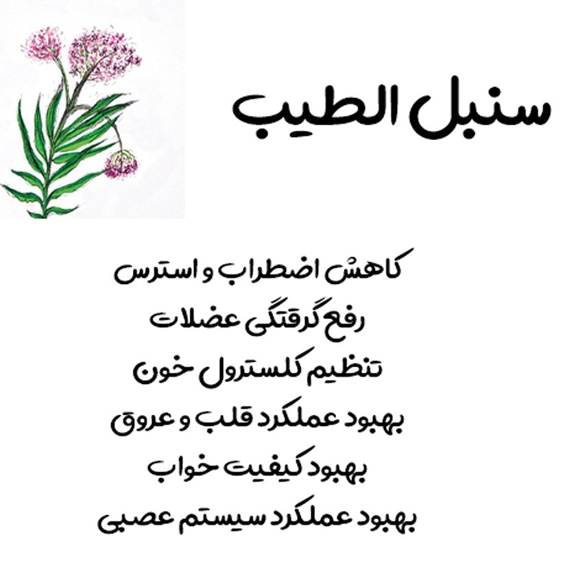 عرق سنبل الطیب درجه یک و با کیفیت 