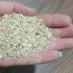 برنج قهوه ای طبیعی استان فارس 20 کیلوگرم-بومی ایران